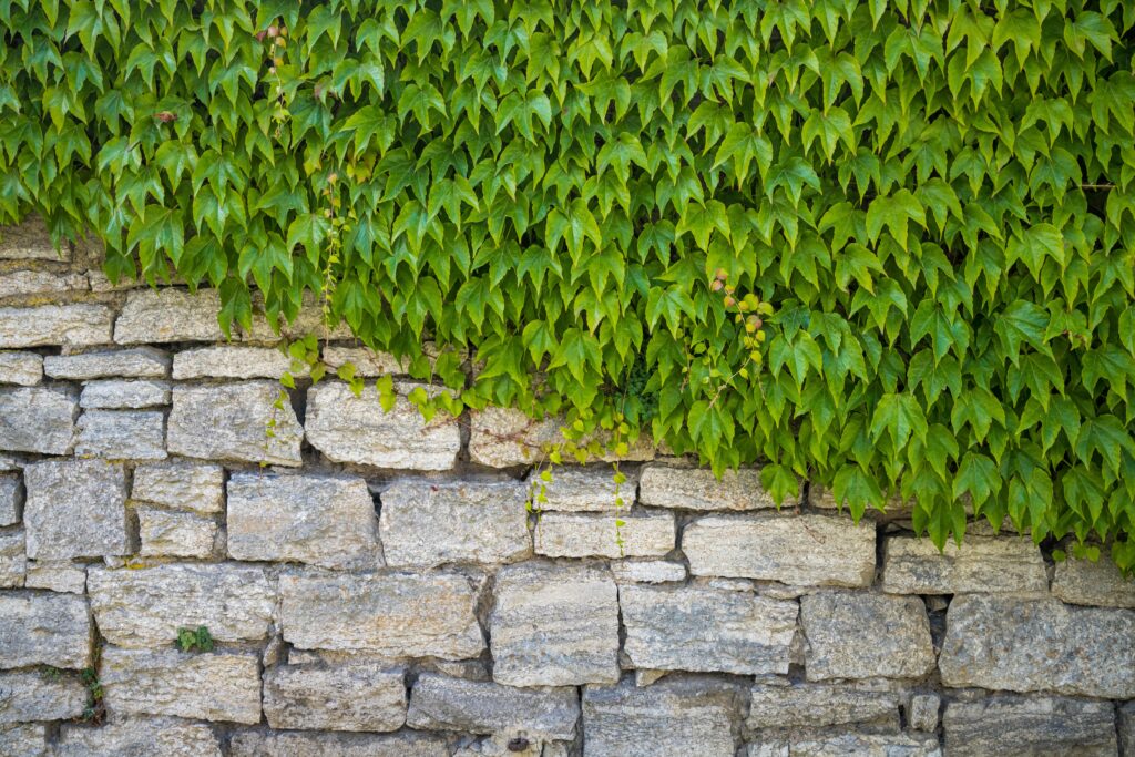 Retaining wall 