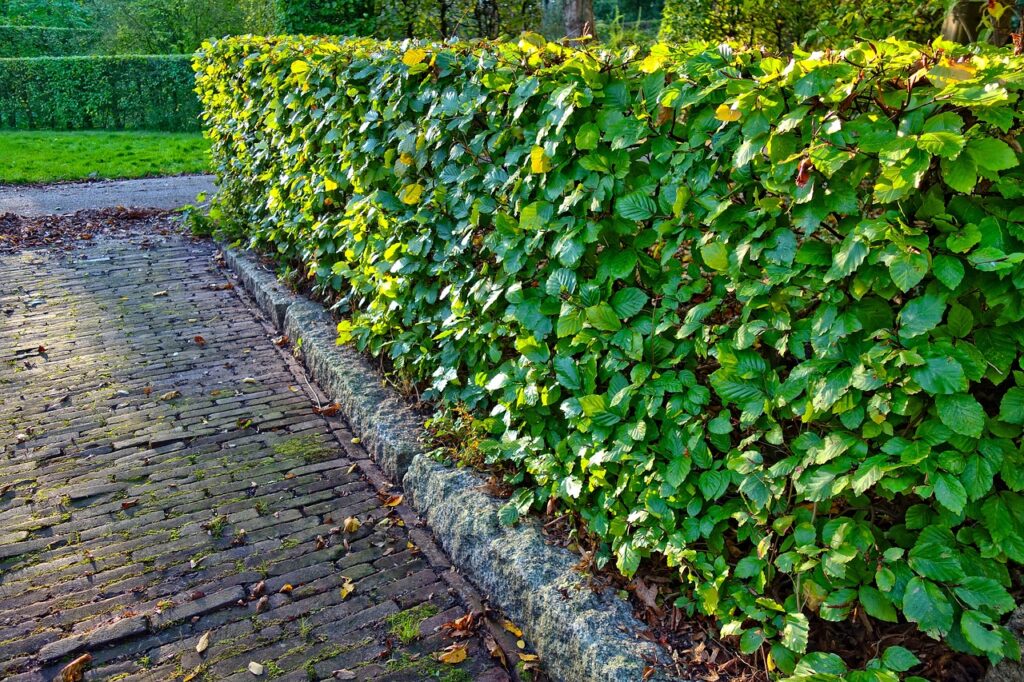 Hedge Edge