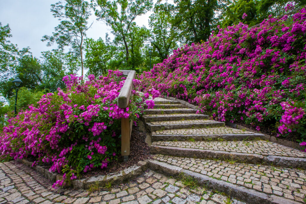 Plant intergrated steps